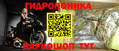 крисы Пугачёв