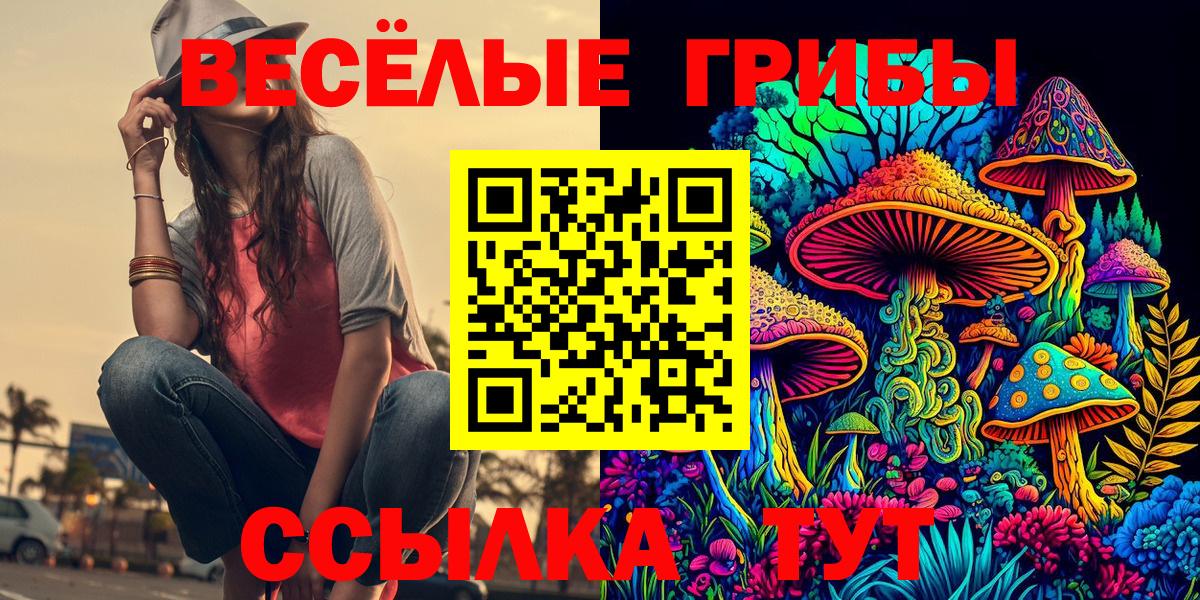 Псилоцибиновые грибы Psilocybine cubensis  как найти закладки  Вход с VPN  Осинники  Псилоцибиновые грибы Psilocybine cubensis 